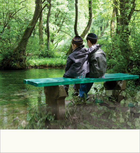 Shiur Vashir image of two brothers sitting on a bench at a lake with hands wrapped around each other's shoulders, symbolic of brotherly love.