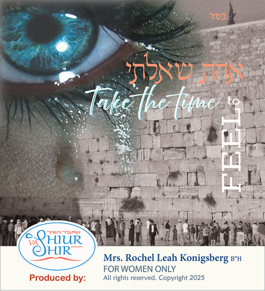 BR17 Take the Time to Feel: Dedicated to the 3 weeks and Tisha B'Av (3 WEEKS / TISHA B'AV 1)